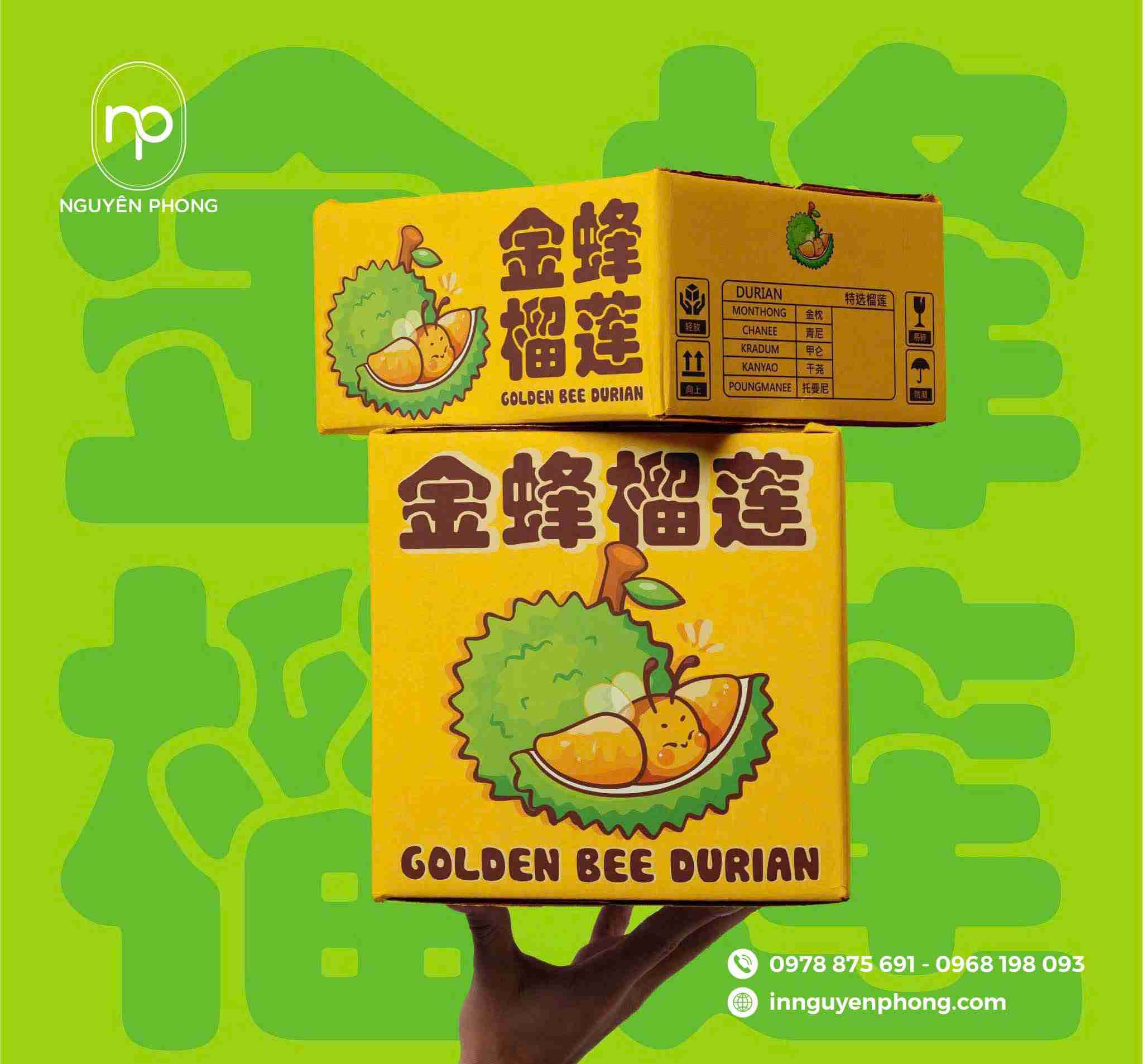 Thùng carton đựng sầu chất lượng